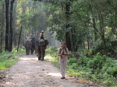 Elephants behind you