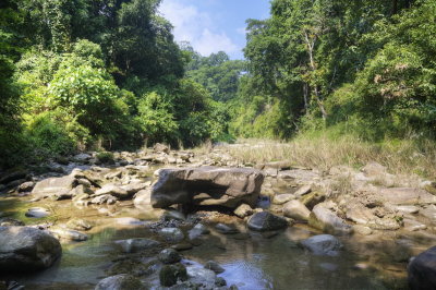 Chitwan National Park Nepal