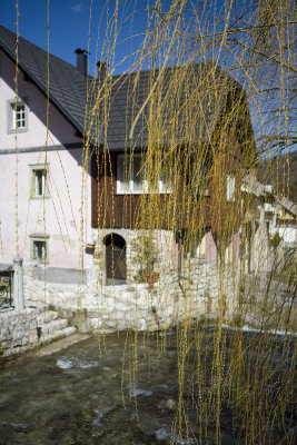 _MG_5032.jpg