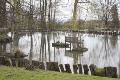 arboretum