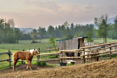 _MG_3789_tonemapped.jpg