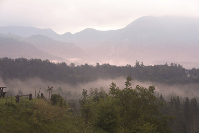 _MG_4582.2.jpg