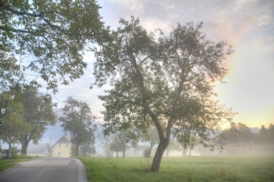 _MG_2124_tonemapped.jpg