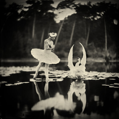 Swan lake....
