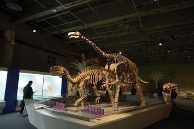 DSC_3743.jpg