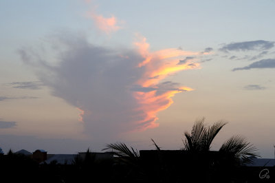 Neat Cloud