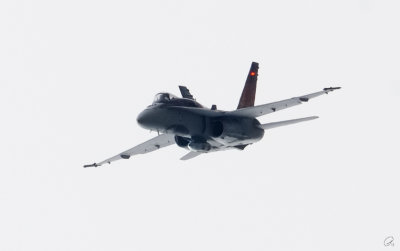 F-18 Hornet