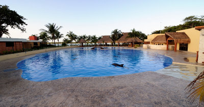 Pool With Dolphin