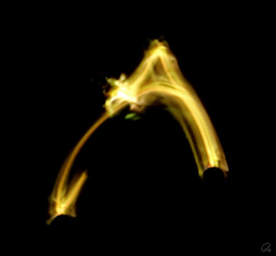 Diving Dragon