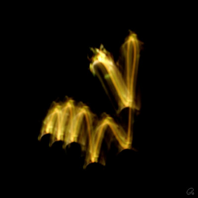 Jumping Seahorse