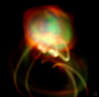 Rainbow Spider