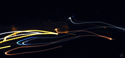 Duck Trails