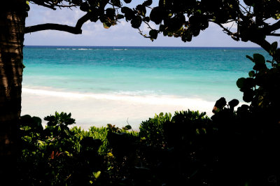 Still More Beach