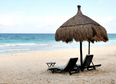 Available Palapa