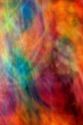 Blurry Bouquet