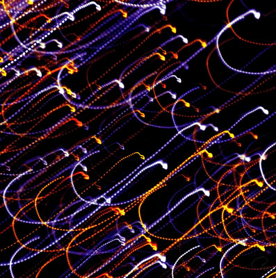 Invasion