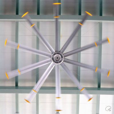 Maya Mall Big Ass Fan