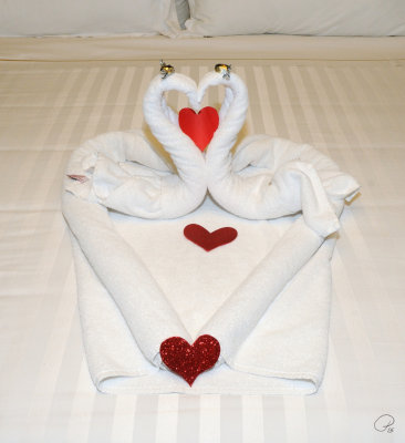 More Loving Swans