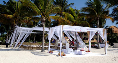 An Indian Wedding