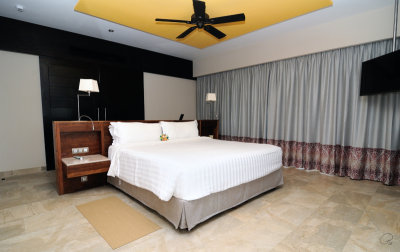 Bedroom Showing TV