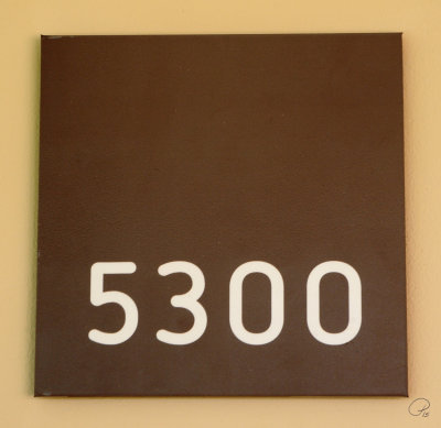 Room 5300 - Sayil Building