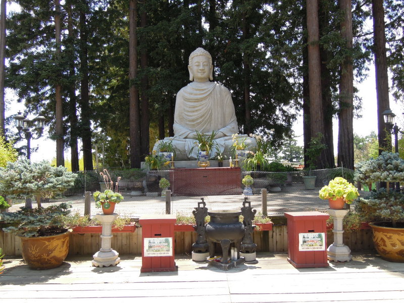 DSCN9708.JPG