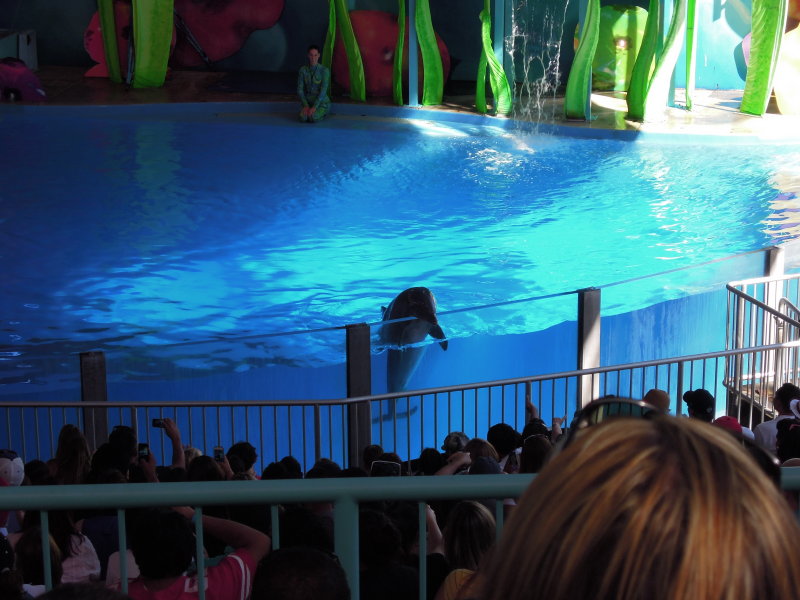 DSCN0310.JPG