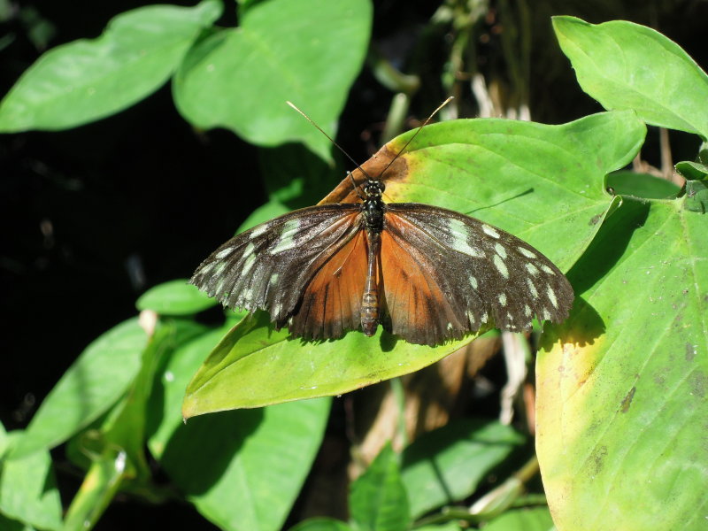 DSCN0330.JPG
