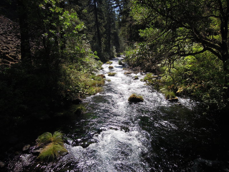 DSCN0436.JPG