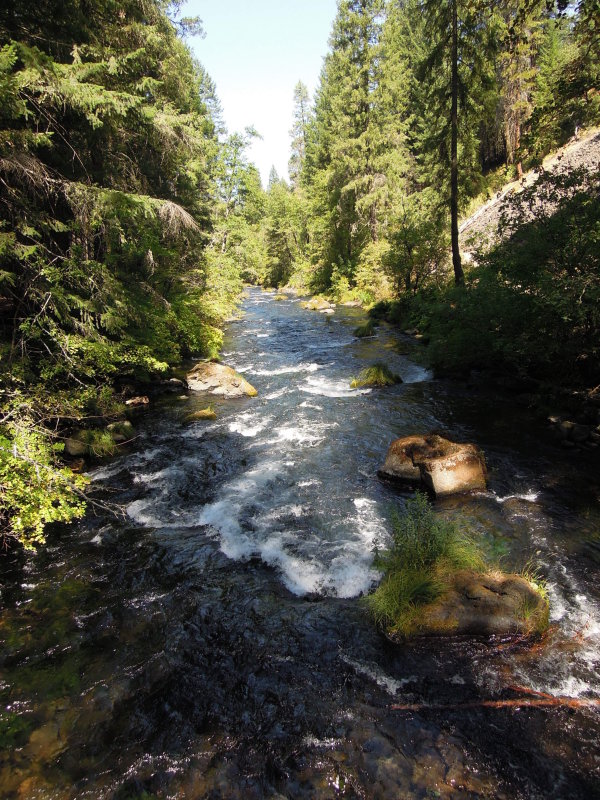 DSCN0438.JPG