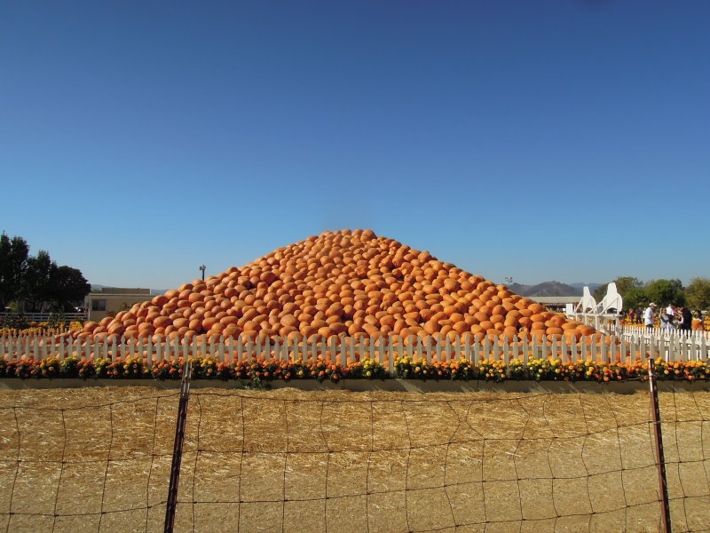 DSCN0582.JPG
