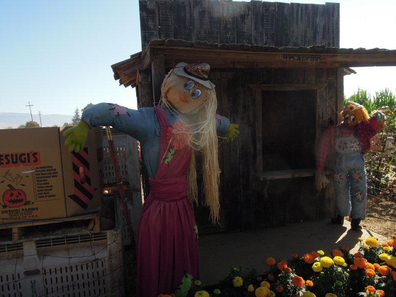 DSCN0587.JPG