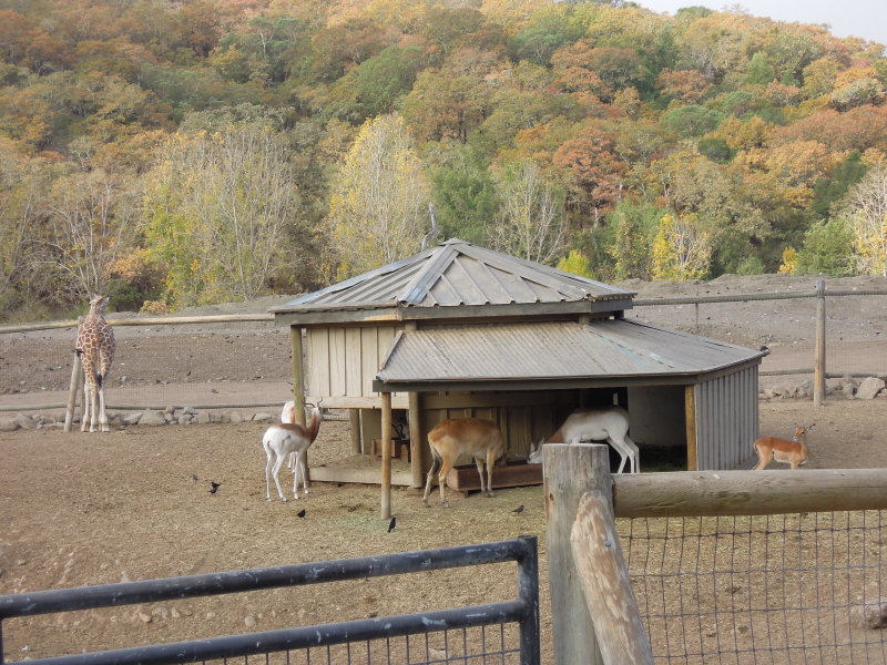 DSCN0716.JPG