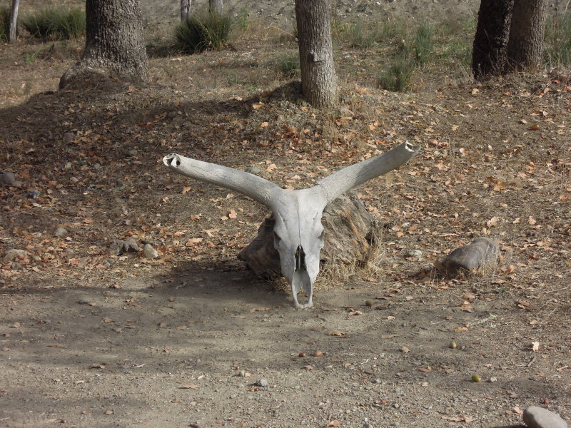 DSCN0778.JPG