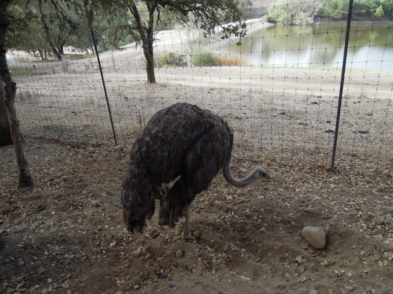 DSCN0786.JPG