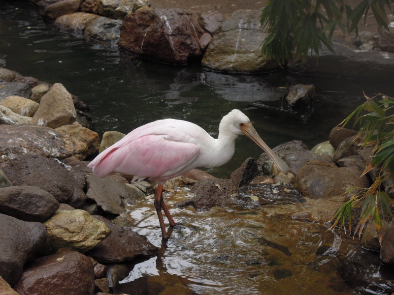 DSCN0823.JPG