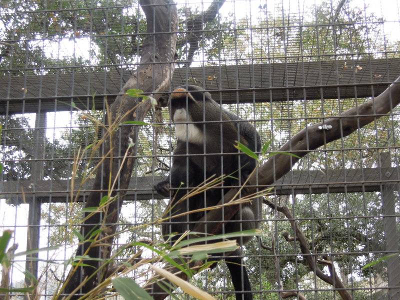 DSCN0828.JPG
