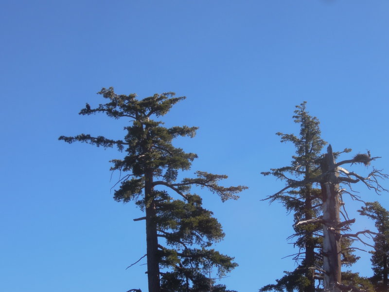 DSCN1586.JPG
