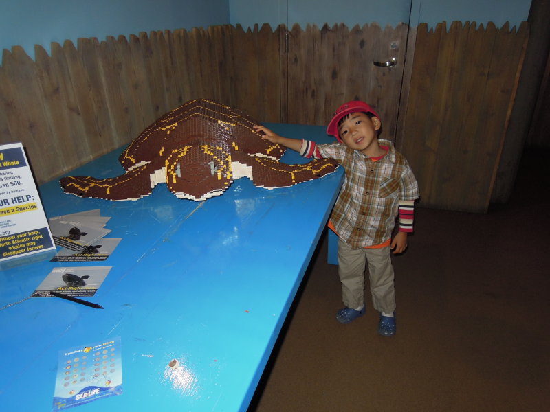 DSCN9921.JPG