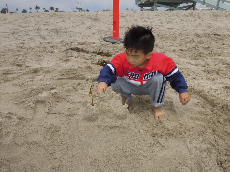 DSCN9946.JPG