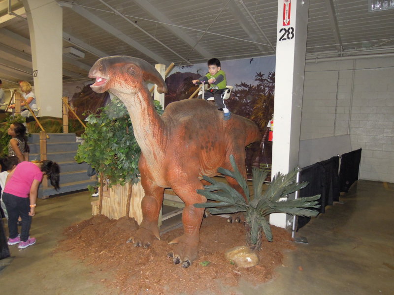 DSCN2390.JPG