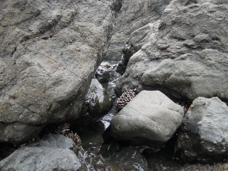 DSCN2508.JPG