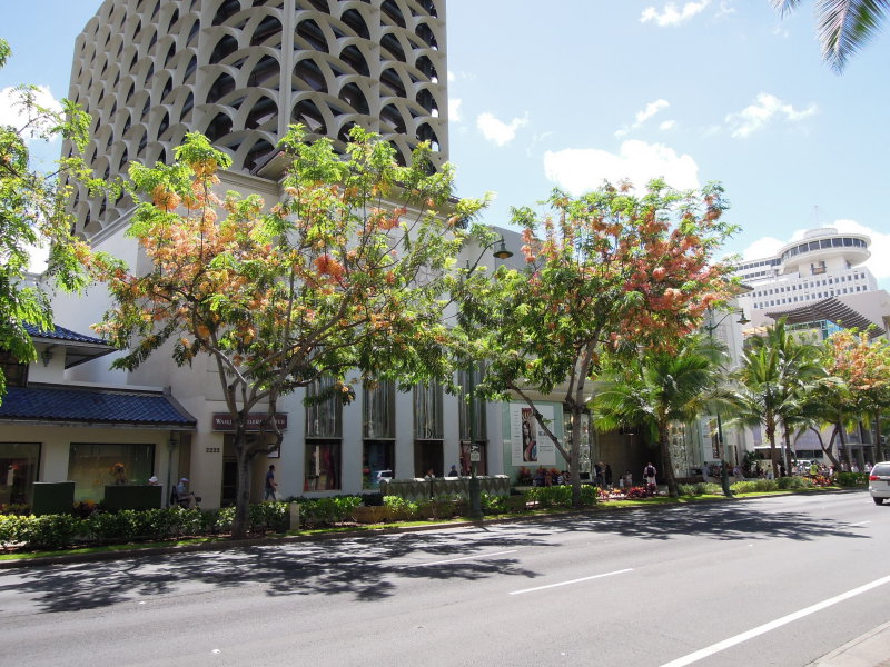 DSCN4705.JPG