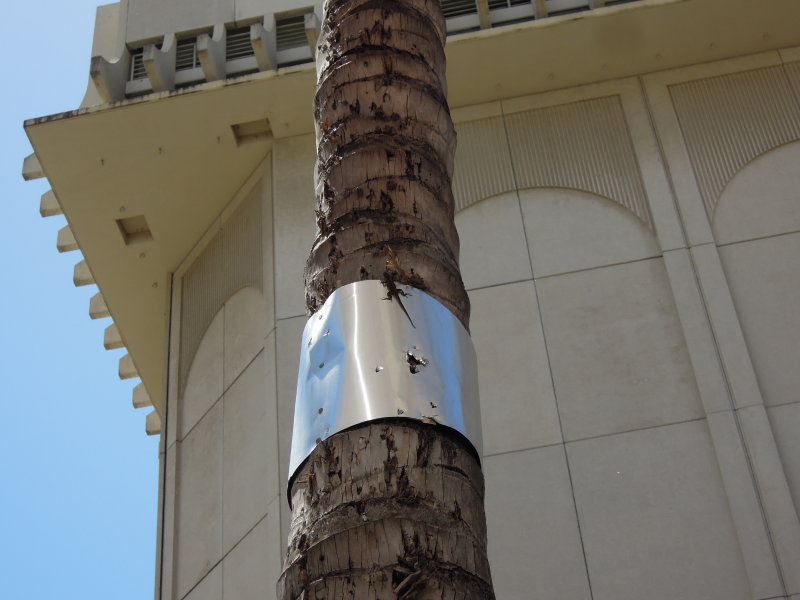 DSCN4712.JPG