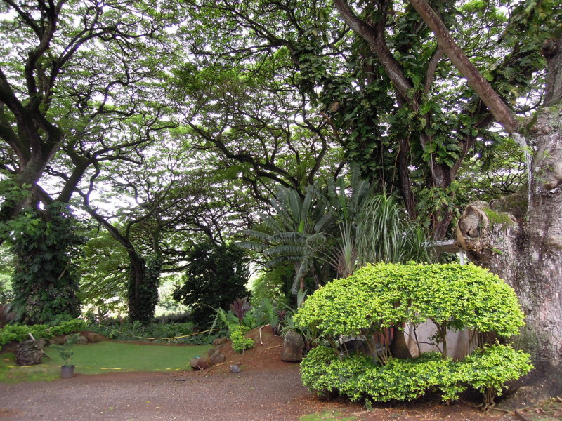DSCN4726.JPG