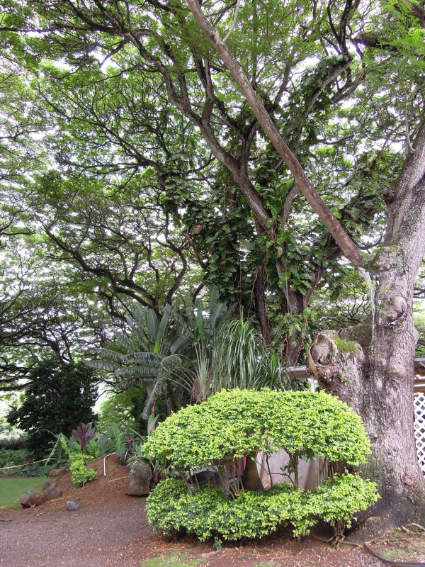 DSCN4727.JPG