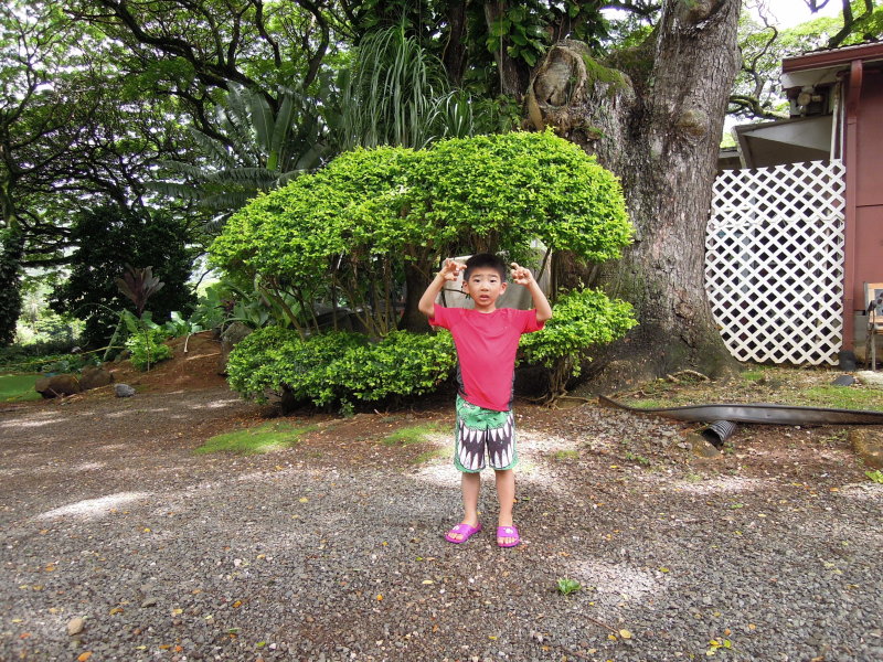 DSCN4734.JPG