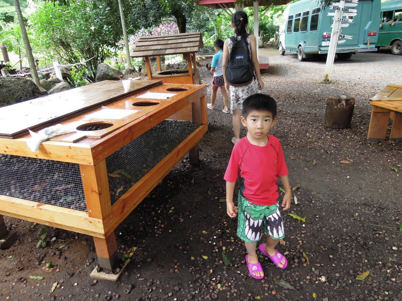 DSCN4738.JPG