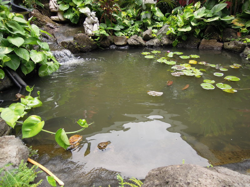 DSCN4740.JPG