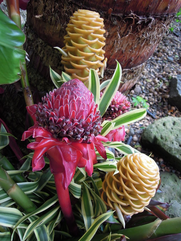 DSCN4747.JPG